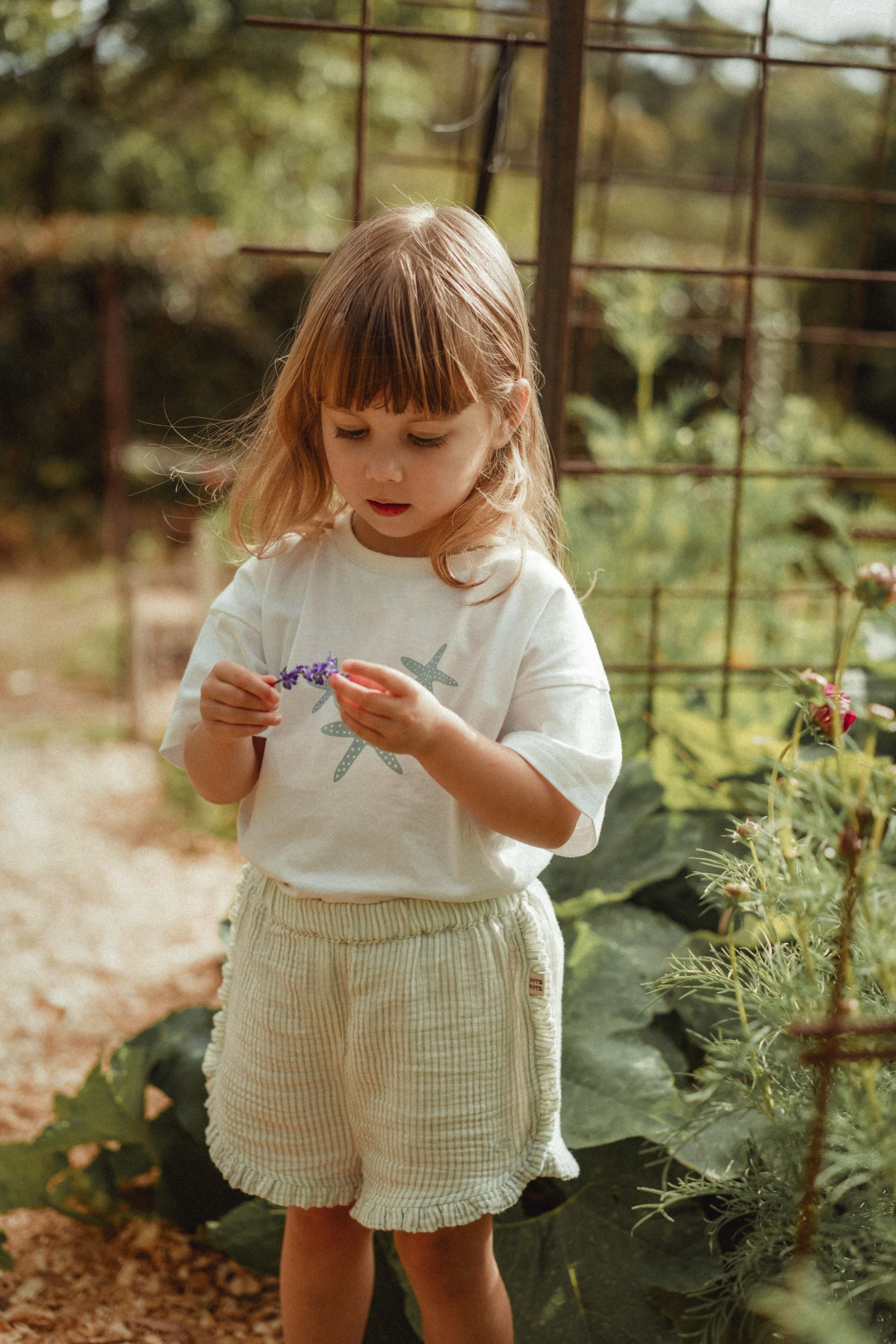 wirrawirra organic newborn clothes double layer crepe striped shorts mint green 24 Summer Girls New Arrivals Shorts