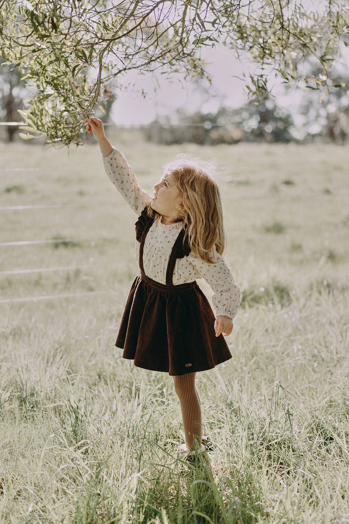 Suspender Skirt Dark Brown