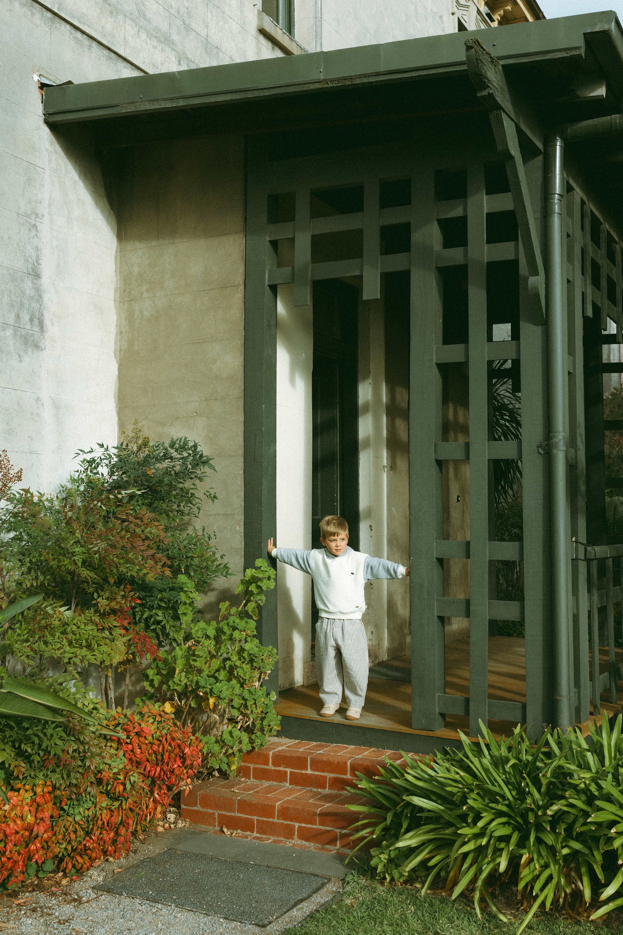 Afternoon Sonata Striped Pants Stripe - Model