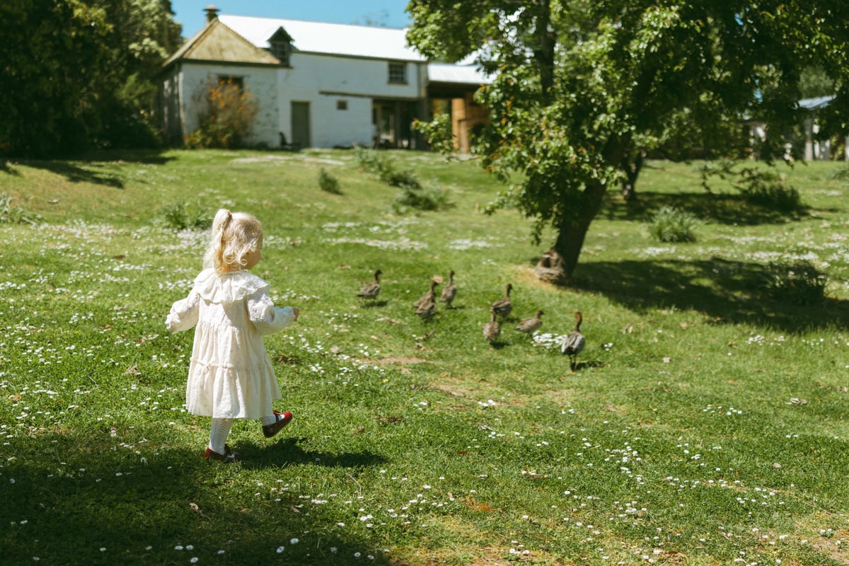 Quiet Spring, Happy Play