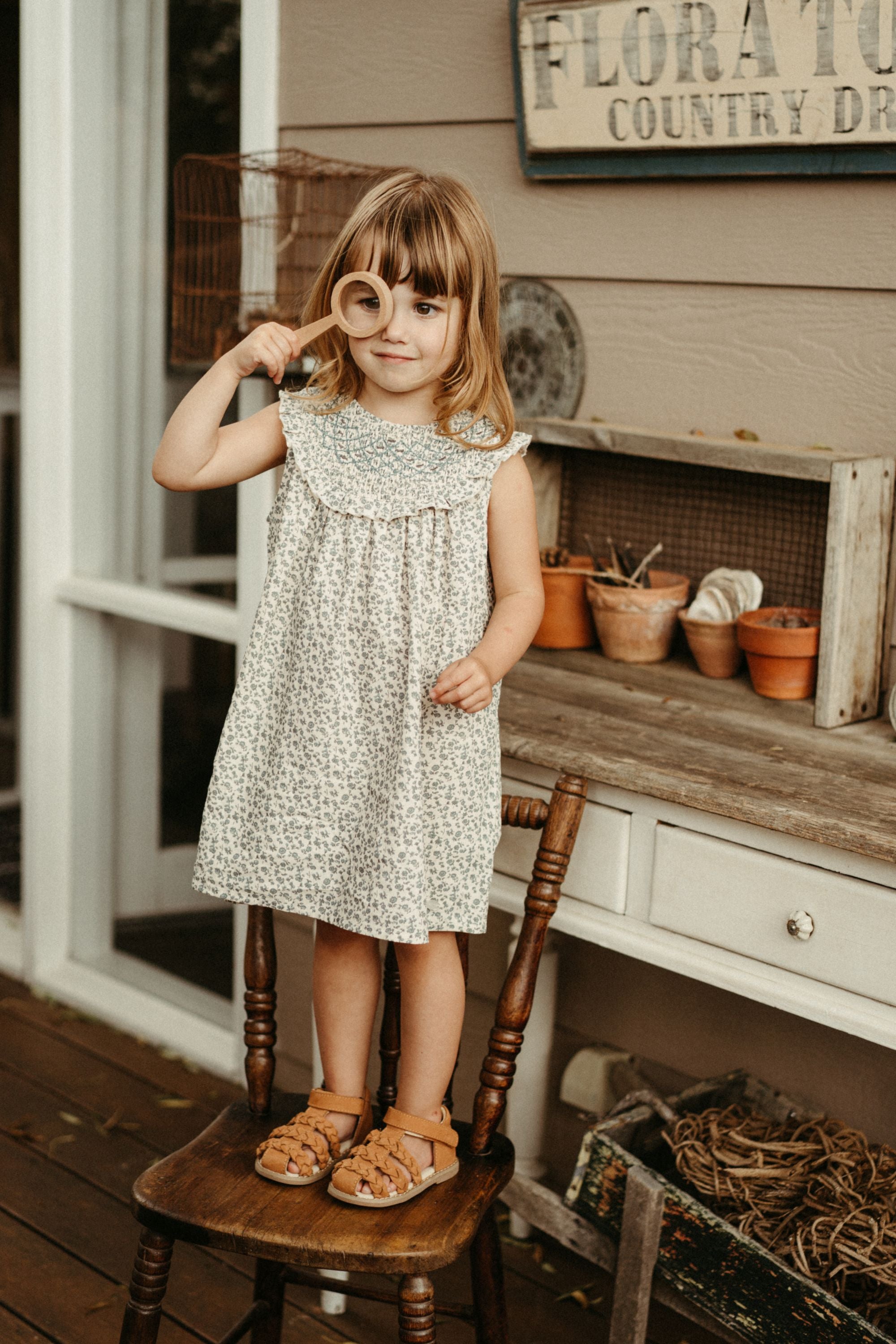 Embroidered Smock Dress Embroidered Smock Dress