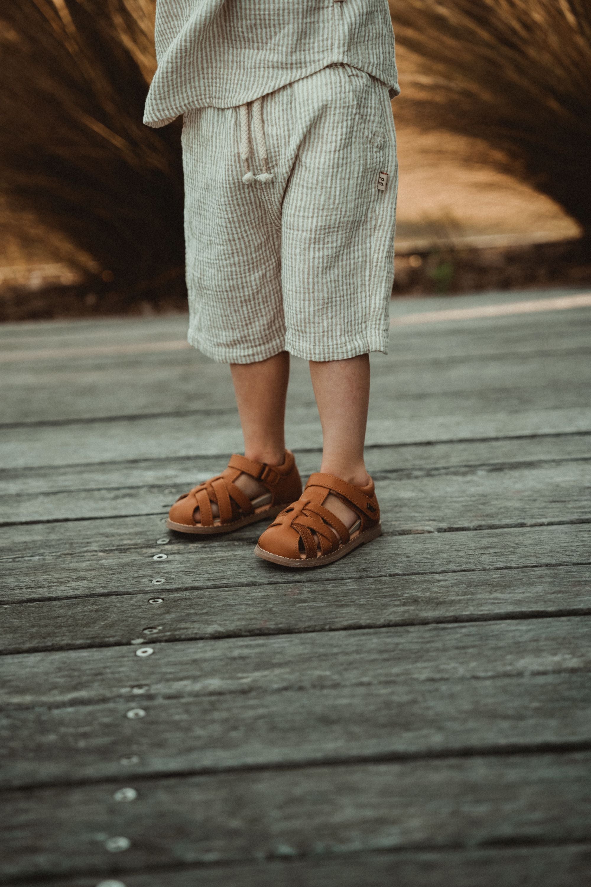 wirrawirra baby boy clothes striped shorts oatmeal 24 Summer Boys Essentials New Arrivals Shorts